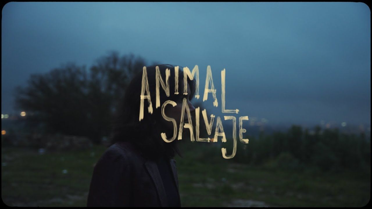 Animal Salvaje